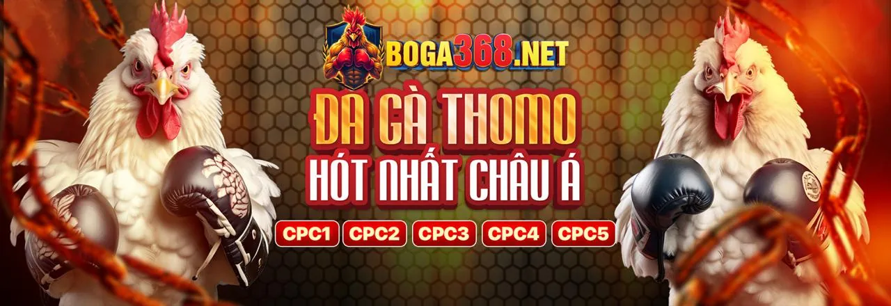Đánh giá RikVip cùng nhà cái f8bét